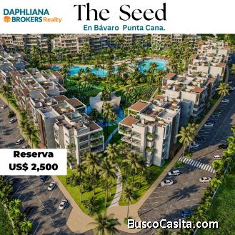 Property Investment THE SEED RD