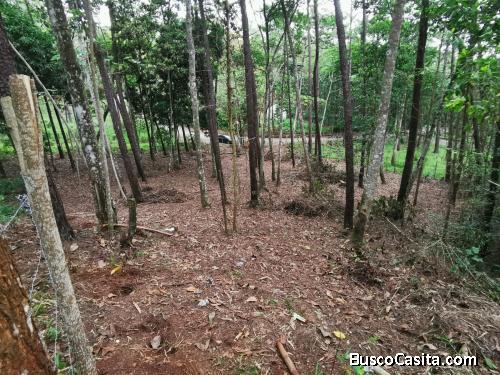 SOLAR DE VENTA EN JARABACOA