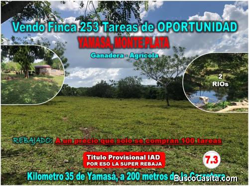 SE VENDE FINCA 253 TAREAS EN EL KM.  35 DE YAMASA, SUPER REBAJADA, OPORTUNIDAD