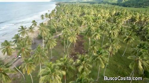 TERRENO CON PLAYA EN LAS TERRENAS