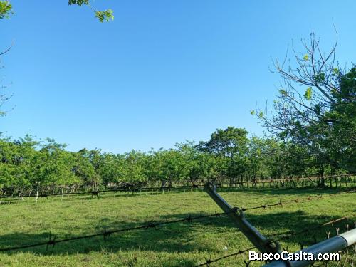 FINCA DE VENTA EN BONAO
