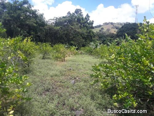 FINCA DE VENTA EN BONAO