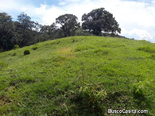FINCA DE 190 TAREAS DE VENTA EN BONAO