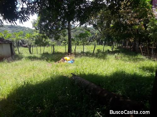 FINCA DE 35 TAREAS DE VENTA EN BONAO
