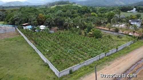 FINCA DE 1O TAREAS DE VENTA EN BONAO