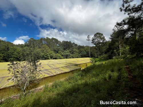TERRENO DE 20 TAREAS DE VENTA EN JARABACOA