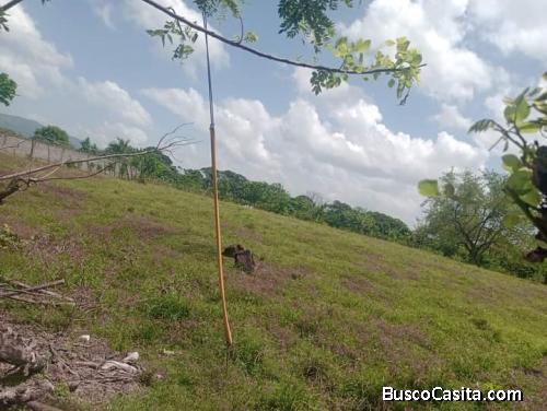 FINCA DE 28 TAREAS DE VENTA EN BONAO