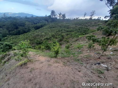 FINCA DE 113 TAREAS DE VENTA EN SAN JOSE DE OCOA
