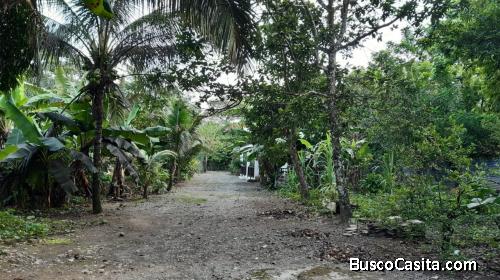 TERRENO DE 4 TAREAS DE VENTA EN BONAO