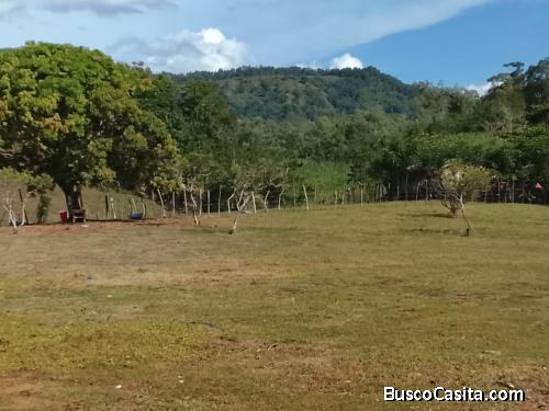 FINCA DE VENTA EN BONAO