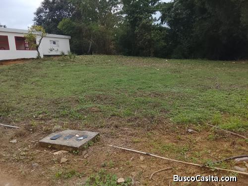 FINCA DE 39 TAREAS DE VENTA EN BONAO