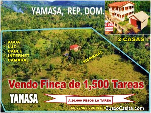 VENDO FINCA DE 1,500 TAREAS EN YAMASA, CON 2 CASAS Y SIEMBRAS, A 20,000 PESOS LA TAREA.
