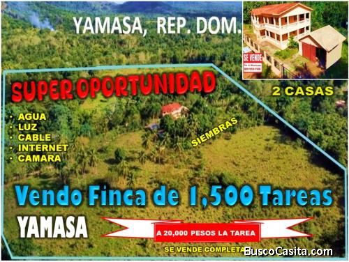 VENDO FINCA DE 1,500 TAREAS EN YAMASA, CON 2 CASAS Y SIEMBRAS, A 20,000 PESOS LA TAREA.