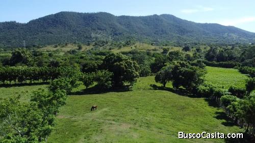 FINCA DE 15 TAREAS DE VENTA EN BONAO
