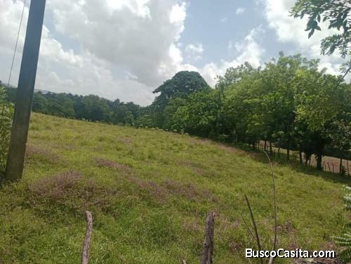 FINCA DE 28 TAREAS DE VENTA EN BONAO