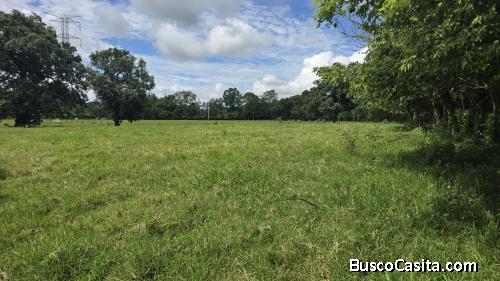 FINCA DE 155 TAREAS DE VENTA EN BONAO