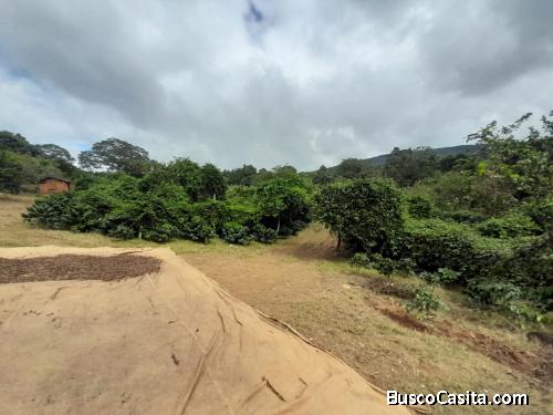 FINCA DE 710 TAREAS DE VENTA EN SAN JOSE DE OCOA