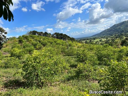 FINCA DE 65 TAREAS CON UNA VILLA DE VENTA EN BONAO