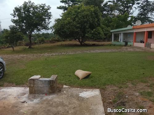 FINCA DE 39 TAREAS DE VENTA EN BONAO