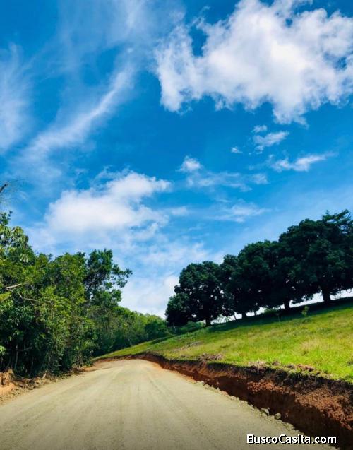 SOLAR DE VENTA EN PROYECTO DE JARABACOA