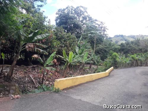 FINCA DE 34 TAREAS DE VENTA EN BONAO