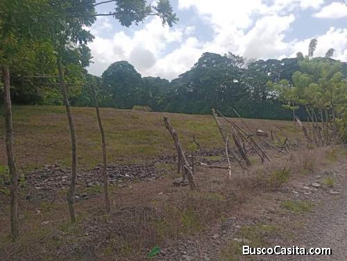 FINCA DE 28 TAREAS DE VENTA EN BONAO