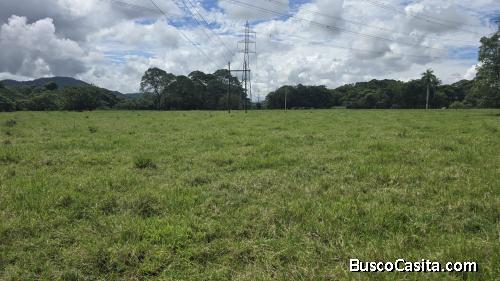 FINCA DE 155 TAREAS DE VENTA EN BONAO