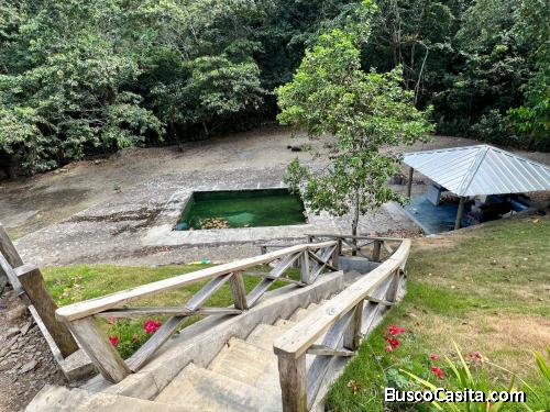 FINCA DE 65 TAREAS DE VENTA EN BONAO