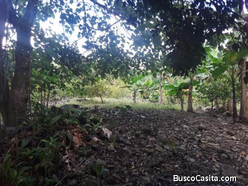 FINCA DE VENTA EN BONAO