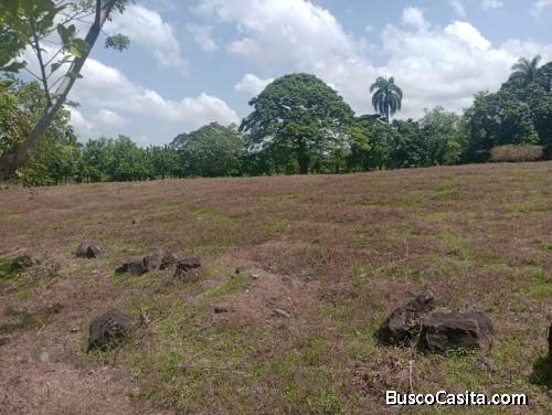 FINCA DE 28 TAREAS DE VENTA EN BONAO