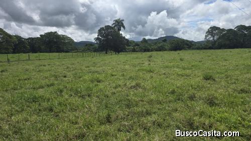 FINCA DE 155 TAREAS DE VENTA EN BONAO