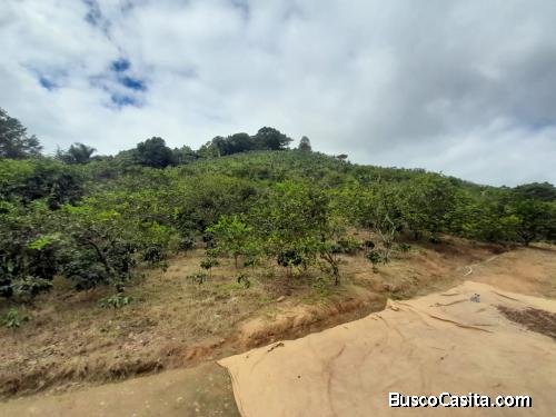 FINCA DE 710 TAREAS DE VENTA EN SAN JOSE DE OCOA