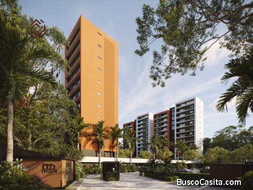 Donde el lujo y la naturaleza se combinan 