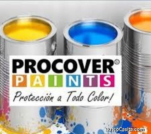 Pinturas Para Remodelar, Cambiar Fachada De Propiedades!