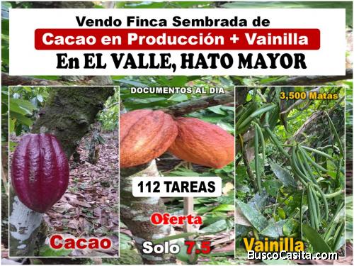 OPORTUNIDAD UNICA, Finca Sembrada de CACAO en Producción + VAINILLA en El Valle, HATO MAYOR, 112 ta