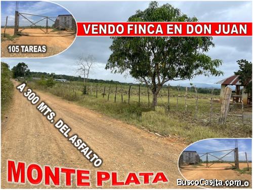 VENDO SUPER FINCA DE 105 TAREAS A 300 Mts. DE LA  CARRETERA EN DON JUAN, MONTE PLATA