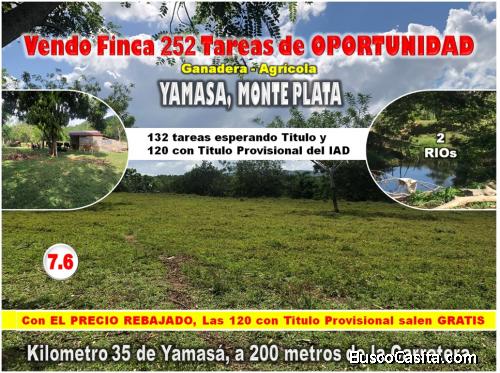 SE VENDE FINCA 252 TAREAS EN EL KM.  35 DE YAMASA, SUPER REBAJADA, SOLO 7.6