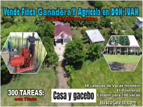 Vendo SUPER Finca Ganadera y Agrícola, 300 Tareas en Don Juan, Monte Plata, con GANADO DENTRO y OTRO