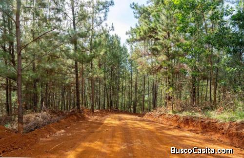 SOLARES DE VENTA EN PROYECTO ECOTURISTICO DE BONAO