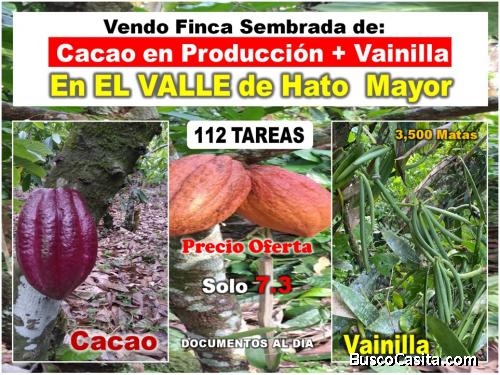 OPORTUNIDAD UNICA, Finca Sembrada de CACAO en Producción + VAINILLA en El Valle, HATO MAYOR, 112 ta