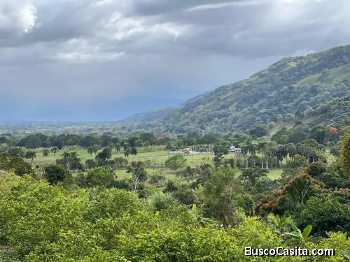 FINCA DE 65 TAREAS CON UNA VILLA DE VENTA EN BONAO