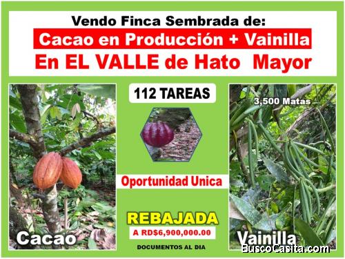 VENDO Finca Sembrada de CACAO en Producción + VAINILLA en El Valle, HATO MAYOR, 112 tareas, con Pre