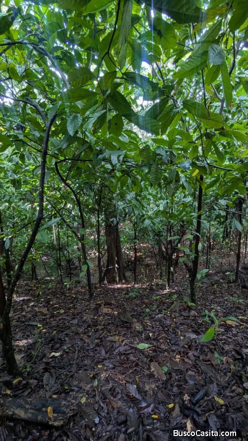 FINCA DE 150 TAREAS DE VENTA EN BONAO