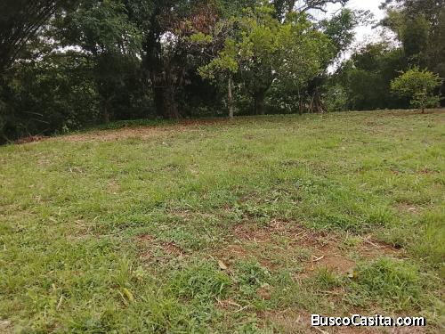 FINCA DE 39 TAREAS DE VENTA EN BONAO