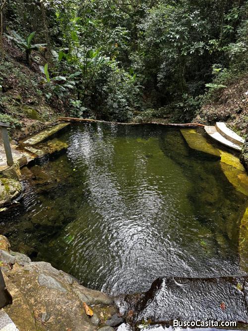 FINCA DE 35 TAREAS CON UNA CASA DE VENTA EN VILLA ALTAGRACIA