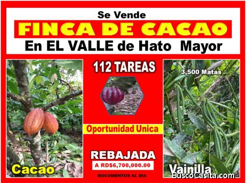 VENDO Finca de CACAO en Producción + VAINILLA en El Valle, HATO MAYOR, 112 tareas, con Precio de Op