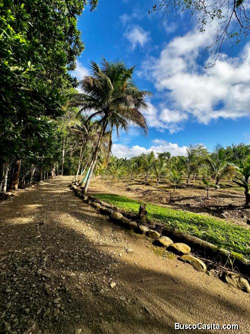 FINCA DE 16 TAREAS DE VENTA EN VILLA ALTAGRACIA