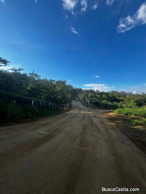 SOLARES DE VENTA EN JARABACOA