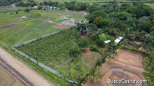 FINCA DE 10 TAREAS DE VENTA EN BONAO