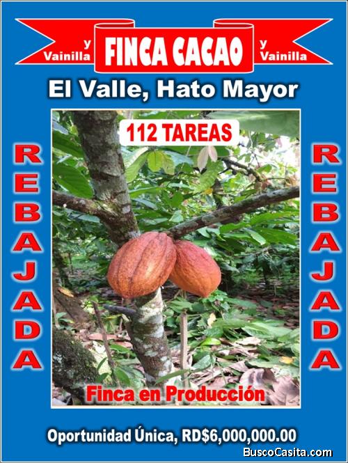 VENDO Finca de CACAO en El Valle de HATO MAYOR, 112 tareas, con Precio REBAJADO